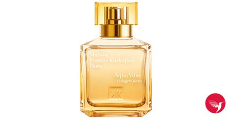 aqua vitae forte fragrantica.